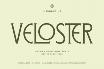 Veloster Font: Modern Typography for Creative Projects